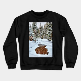 Mountain river in the winter Crewneck Sweatshirt